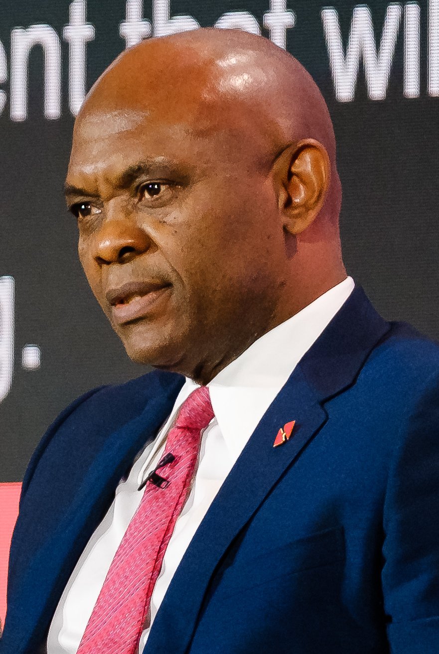 Tony Elumelu Biography & Net Worth (2026): UBA, Heirs Holdings, TEF